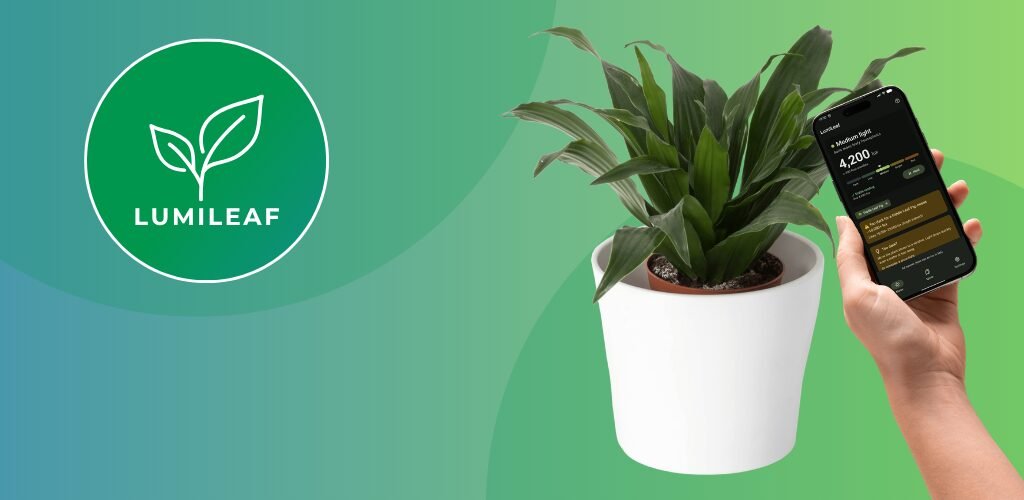 LumiLeaf plant light meter app showing a light reading next to a houseplant
